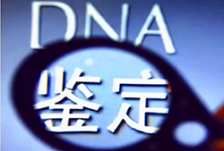 长沙一医院能做DNA亲子鉴定吗，长沙医院办理DNA鉴定详细流程
