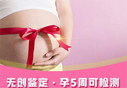 长沙怀孕四个月需要怎么办理血缘检测，长沙孕期亲子鉴定如何收费